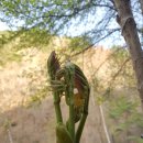 방태산마당바위민박 이미지