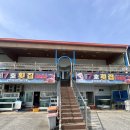 방파제7호횟집 | 경북 울진 방파제 7호 횟집 죽변 물회 대게 맛집 오션뷰 가볼 만한 곳