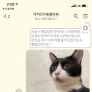 닥터코기동물병원 이미지