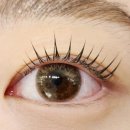 송 실내테니스 아카데미 이미지