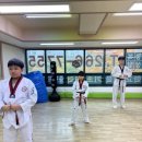 한국체대 신일태권도장 이미지