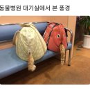 풍경동물병원 이미지