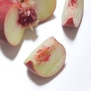 납작복숭아 / 정자동카페 봉봉커피앤디저트 망고빙수 후기