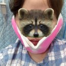 28년간 함께한 사랑니들과 이별하다. ‘올소치과’
