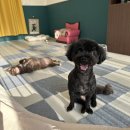 홀리몰리살롱 이미지