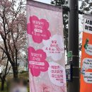 김밥천국(동호점) | [석촌호수 벚꽃축제] 4/3 실시간 오전 vs 오후 인파 비교 / 푸드트럭, 팝업 주말나들이 총정리 (+주차)