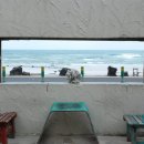 우리나라디저트 이미지