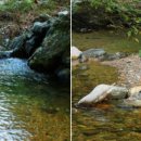 하늘로열린창 이미지