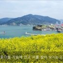 봄 이미지