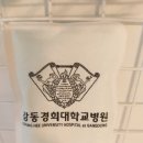 강동솔약국 | 사랑니발치 어금니발치 통증//매복사랑니발치 리얼후기