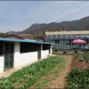 곡성-203 이미지