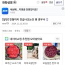 본에이전시 이미지