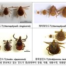 ㈜세바 의약품 이미지