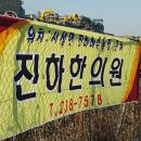 진하한의원 네이버블로그