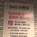 에이스돈