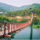 참숯통큰오리 이미지