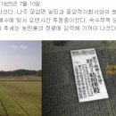 영산나루 이미지