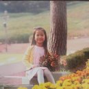 군포시립당정동어린이집 이미지