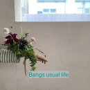 화훼장식기능사(초급) 이미지