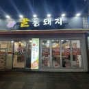 꿀통돼지 이미지