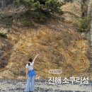 중앙사슴 | 부산 근교 가볼만한곳 소쿠리섬 포토스팟 사슴 보고 싶다면 여기로