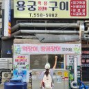 용궁실내포차 | 천안 신불당맛집 용궁구이, 대구막창과 시골찌개 찐조합