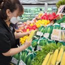 산지뚝심 이미지