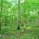 서유농원 이미지