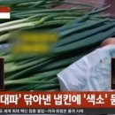 싱싱중국식품