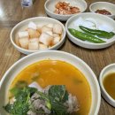 제주돼지맛소 네이버블로그