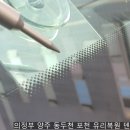 양주도니 이미지