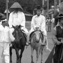 거제도(島)