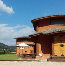 강천산 나비잠 이미지