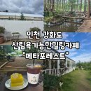 서울/경기근교, 인천 강화도 산림욕 가능한 숲속힐링카페 "메타포레스트" 내돈내산 후기!
