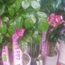 브레인밸리학원