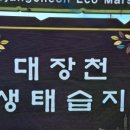 번데미공원 이미지