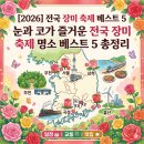 곡성-151 | 🌹 [2026] 눈과 코가 즐거운 전국 장미 축제 명소 베스트 5 총정리 (일정/교통/맛집)