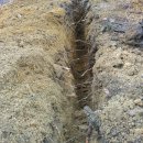 대도농장 이미지