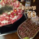봄술 이미지