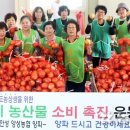 초월농업협동조합하나로마트 이미지
