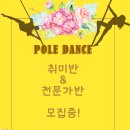 뮤즈폴댄스 이미지