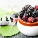 오디한의원 네이버블로그