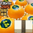 원항 이미지