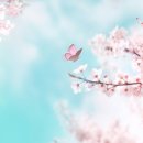 마미하트