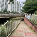 5주공 아파트 횡단보도 이미지