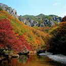 명품여행 이미지