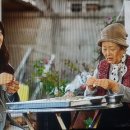 양평 순흥식당, TV 속 만두집에서 전국 대표 ‘집밥 맛집’으로