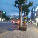 수원-1241 이미지