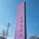 [밀양] 밀양봉쥬르 || 덮밥 맛집 / 북촌, 위양지, 연극촌 분위기 좋은 양식집