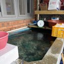 가보세 | 보령 천북굴단지 굴찜 맛집 [가보세 굴수산] 솔직 후기